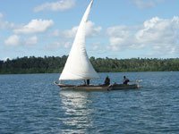 Mombasam Pemba, Zanzibar, Kenya, Tanzania. 