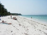 Mombasam Pemba, Zanzibar, Kenya, Tanzania. 