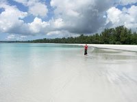 Mombasam Pemba, Zanzibar, Kenya, Tanzania. 
