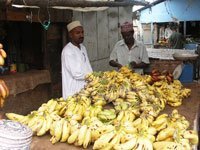 Mombasam Pemba, Zanzibar, Kenya, Tanzania. 