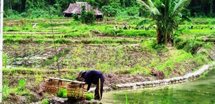 Det oprindelige Thailand
