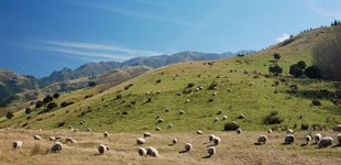 Fantastiske New Zealand