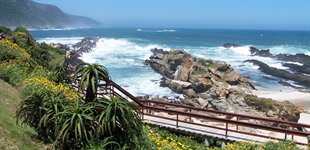 Garden Route Cape Town Port Elizabeth Sydafrika