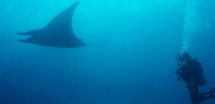 Liveaboard Similan, Thailand