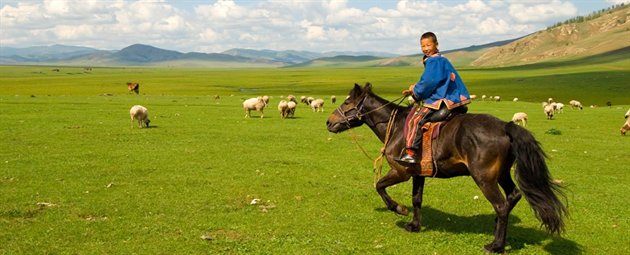 Dreng rider p� den gr�nne mongolske steppe