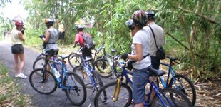 Mountainbike-tur, Bali
