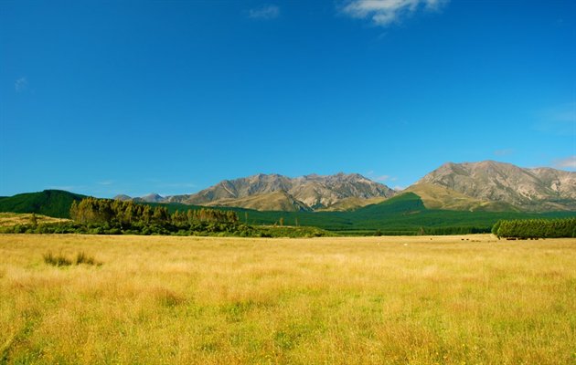 New Zealand