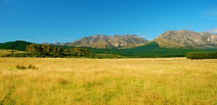 New Zealand