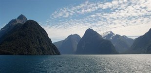 Fjorde Hvaler New Zealand