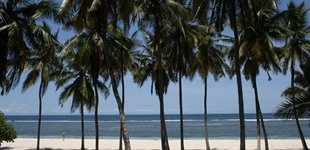 Tiwi Beach, Twiga Lodge, Kenya