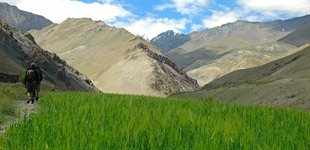 Sham Trek Indien