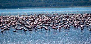 Tarangire Lake Manyara Ngorongoro