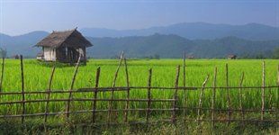 Foredrag Thailand