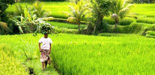 sanur_pemuteran