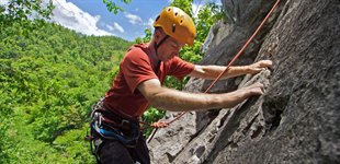 Rock the Gibbon, Thailand