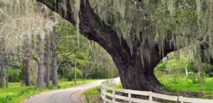 The Southeast, 15 dage, USA