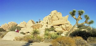 Joshua Tree National Park, USA
