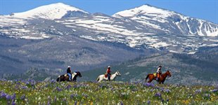 Paradise Ranch