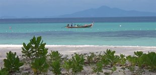 Phi Phi �erne, Thailand, Asien