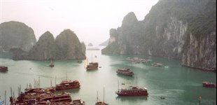 Vietnams natur, Asien