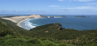 auckland_cape_reinga_profil