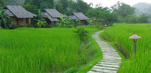 Mae Hong Son, Fern Resort, Thailand, Asien