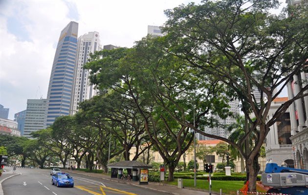 Orchard Road, Singapore.