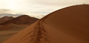 Dune 45 ved Sossusvlei i Namibias �rken.