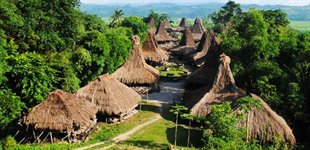 Bali, Sumba. Copyright: Nick Tours