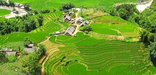Det nord�stlige Vietnam