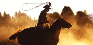 Cowboy, Cody, USA
