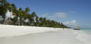 Ocean Paradise Hotel