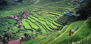 Trekking, North Luzon, Filippinerne.
