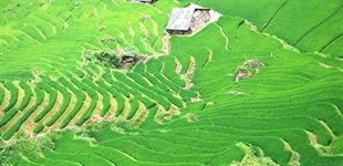 Sapa, Vietnam