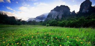 Khao Sok Nationalpark, Thailand