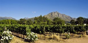 Stellenbosch, Sydafrika