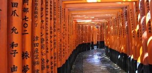 Shinto porte, Kyoto, Japan