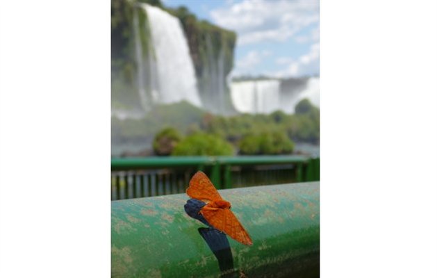 Uge 6: Foz do Iguazu, Brasilien Uge 6: Foz do Iguazu, Brasilien