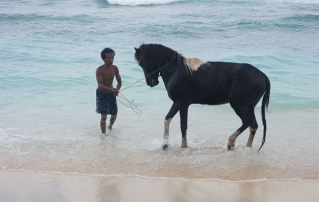 Gili Trawangan i Indonesien Gili Trawangan i Indonesien