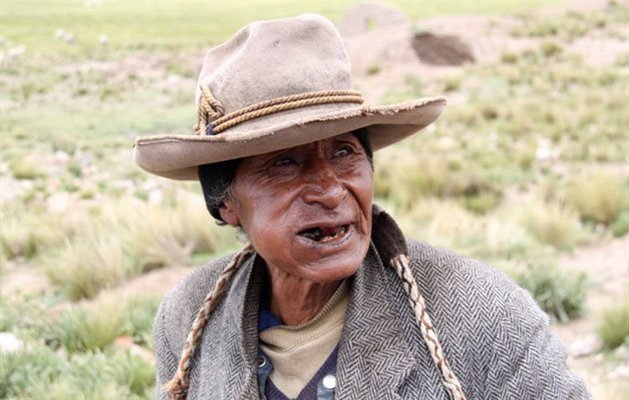 Peruviansk lamahyrde Peruviansk lamahyrde