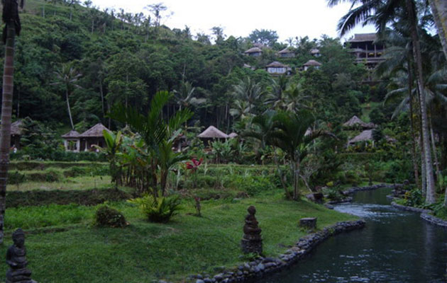 Bali Bali