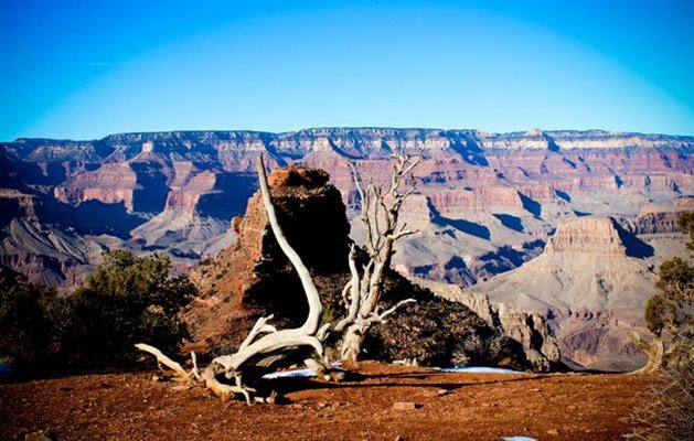 Gran Canyon, USA. Gran Canyon, USA.