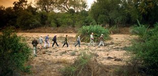 Kruger Nationalpark, Sydafrika