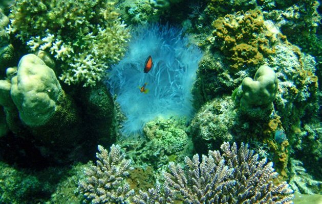 Malaysia, Perhentian Island Malaysia, Perhentian Island