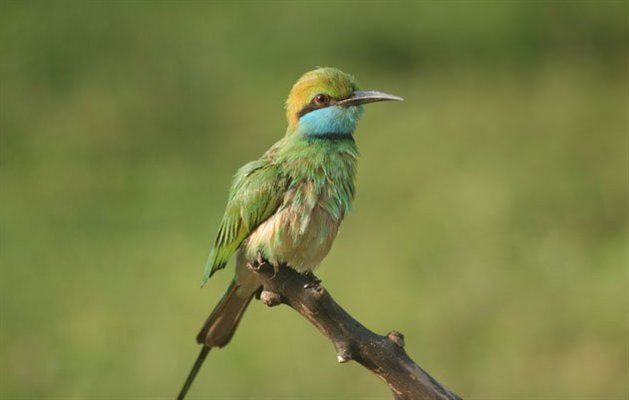 Sri Lanka Sri Lanka