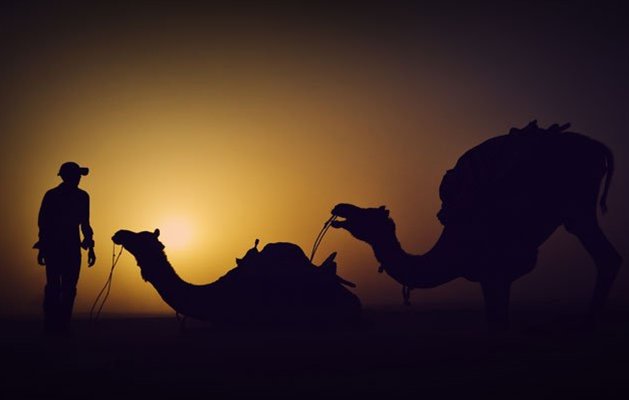 Rajasthan-ørkenen omkring Jaisalmer, Indien. Rajasthan-ørkenen omkring Jaisalmer, Indien.