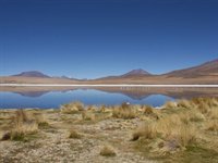 Lagune i Bolivias ørken.