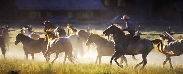 Ranch ophold, Montana, USA Ranch ophold, Montana, USA