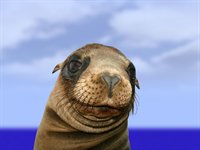 Ecuador, Galapagos, s�ler