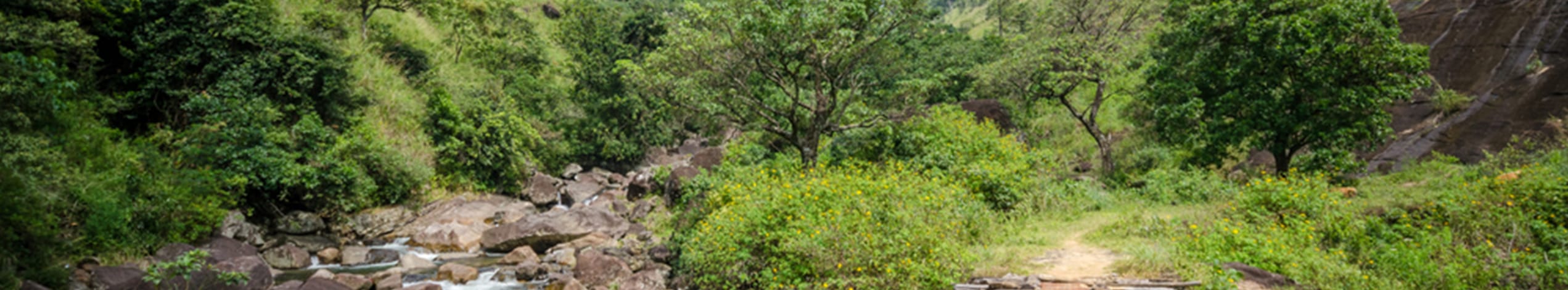 Hike, mountainbike og raft i Sri Lankas bjerge